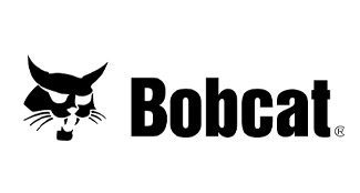 bobcat