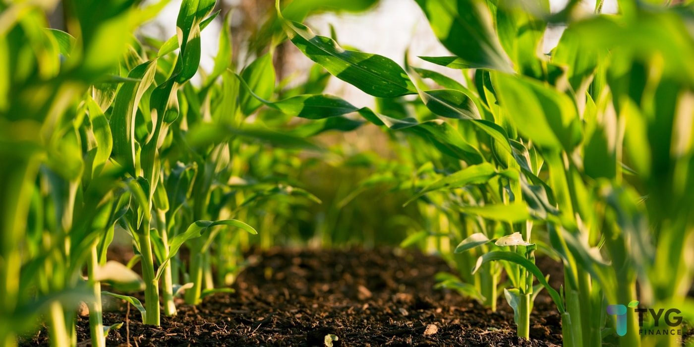 An Australian farmer planning spring equipment finance for the upcoming season with TYG Finance